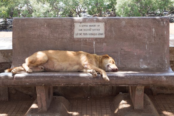 De fleste som er ute, slapper av i skyggen.